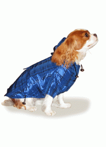 Dog Raincoat “Singing in the Rain”
