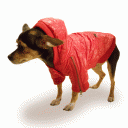 Dog Winter Coat “Bubble Lovable Winter Jacket”