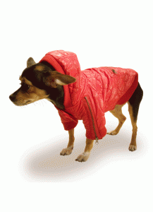 Dog Winter Coat “Bubble Lovable Winter Jacket”