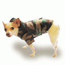 Dog Raincoat “Puppy Combat”