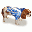 Dog Winter Coat “Convertible Jump Suit”