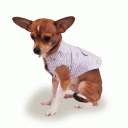 Dog Silk Jacket “Heidi”
