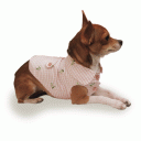Dog Silk Jacket “Heidi”