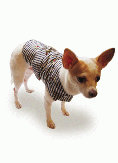 Dog Silk Dress Coat “Anrie”