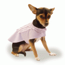 Dog Spring Coat “French Macaroons”