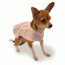 Dog Spring Coat “French Macaroons”