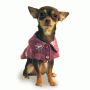 Dog Dress Coats / Jackets (3)