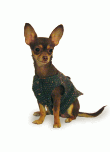 Dog Tweed Jacket “Morgan”    =one of a kind style=