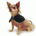 Dog Velvet Cape “Poppins”     =one of a kind style=